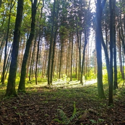 Team Blau Jens post image