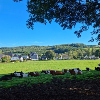 Team Blau Jens post image