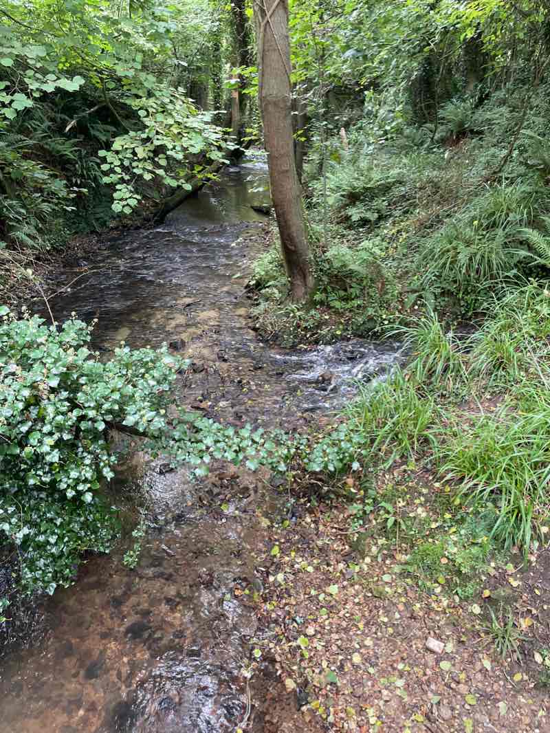 walking near me in Langmoor Gardens in winter