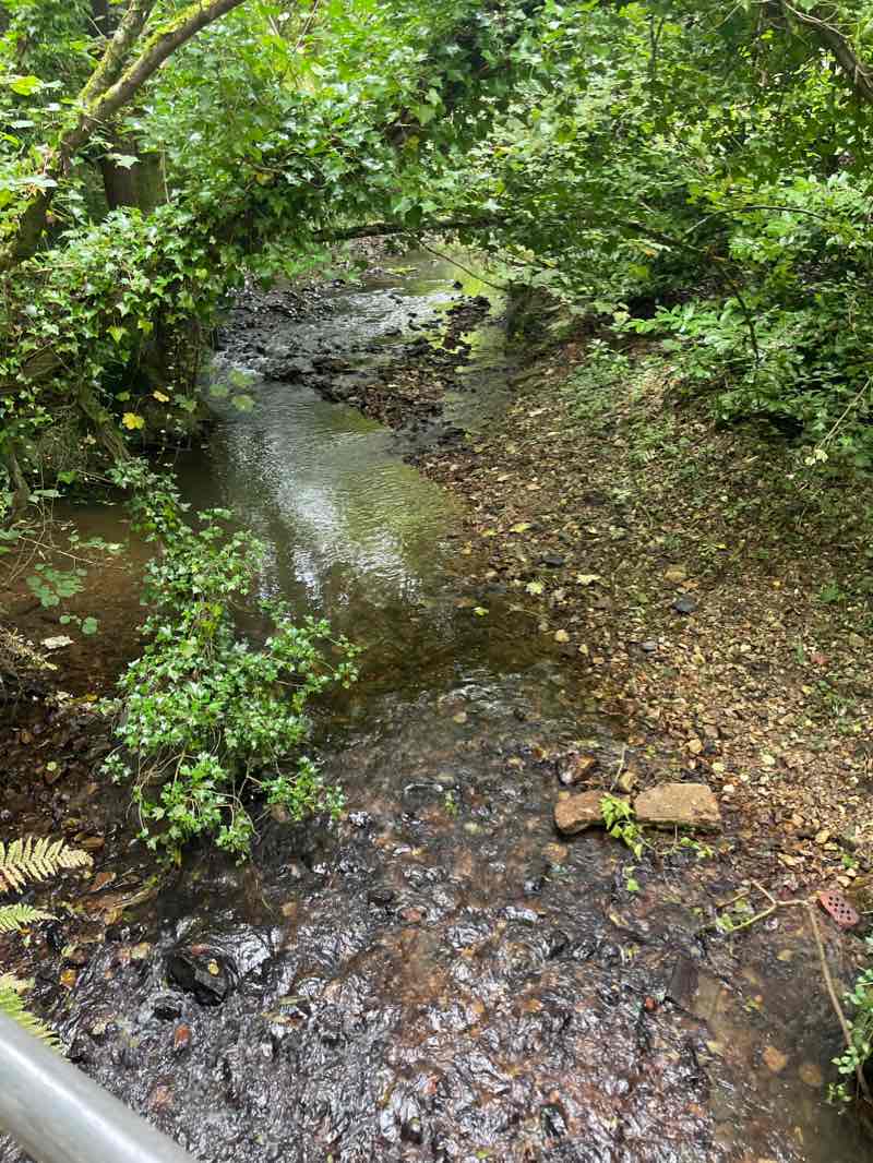 walking near me in Lister Gardens in winter