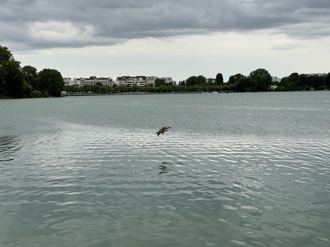 walking near me in Presqu'ile aux Fleurs in winter
