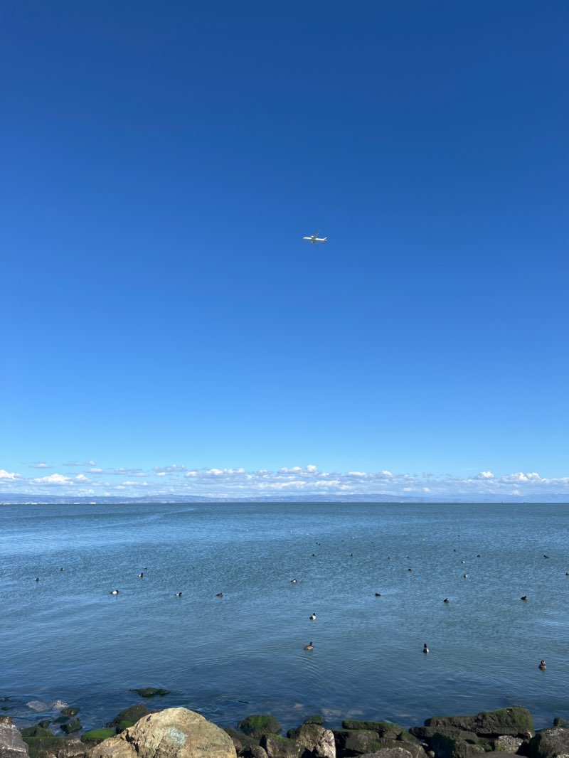 walking near me in Oyster Point Marina Park in winter