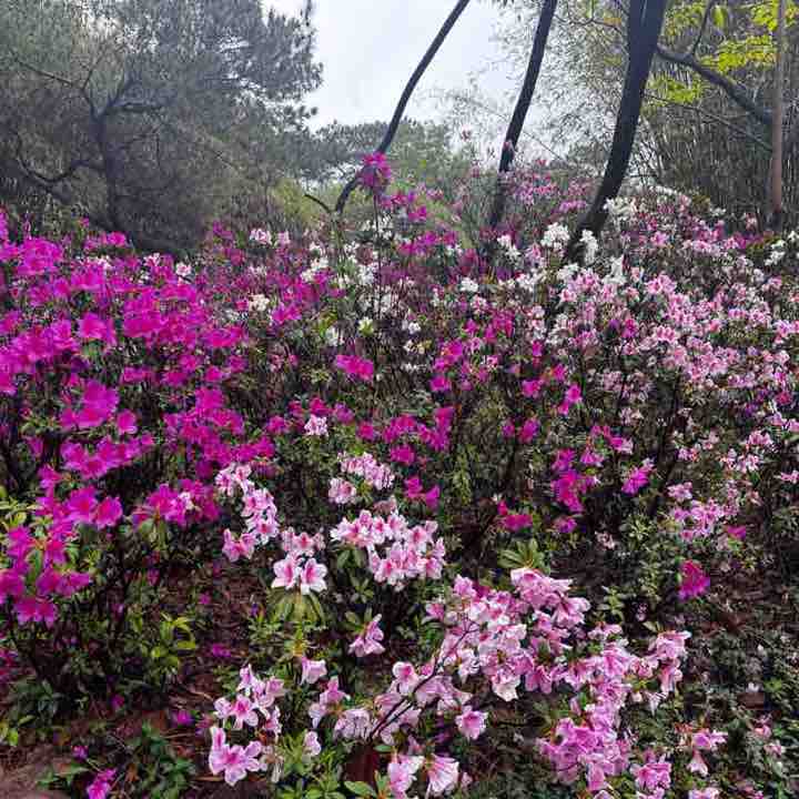 中山户外运动休闲 wei post image