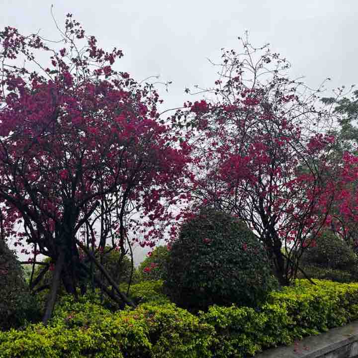 中山户外运动休闲 wei post image