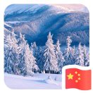 张坤