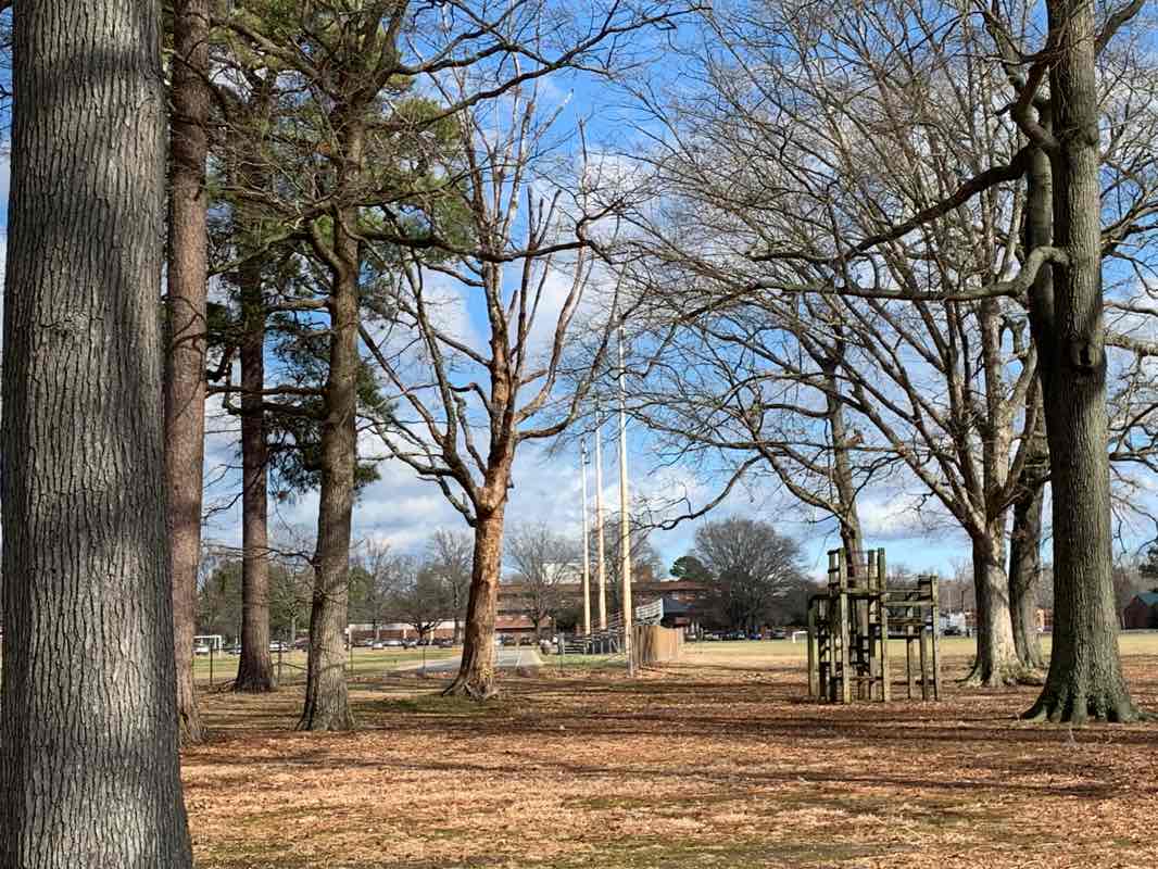 walking near me in Murphy Field in winter