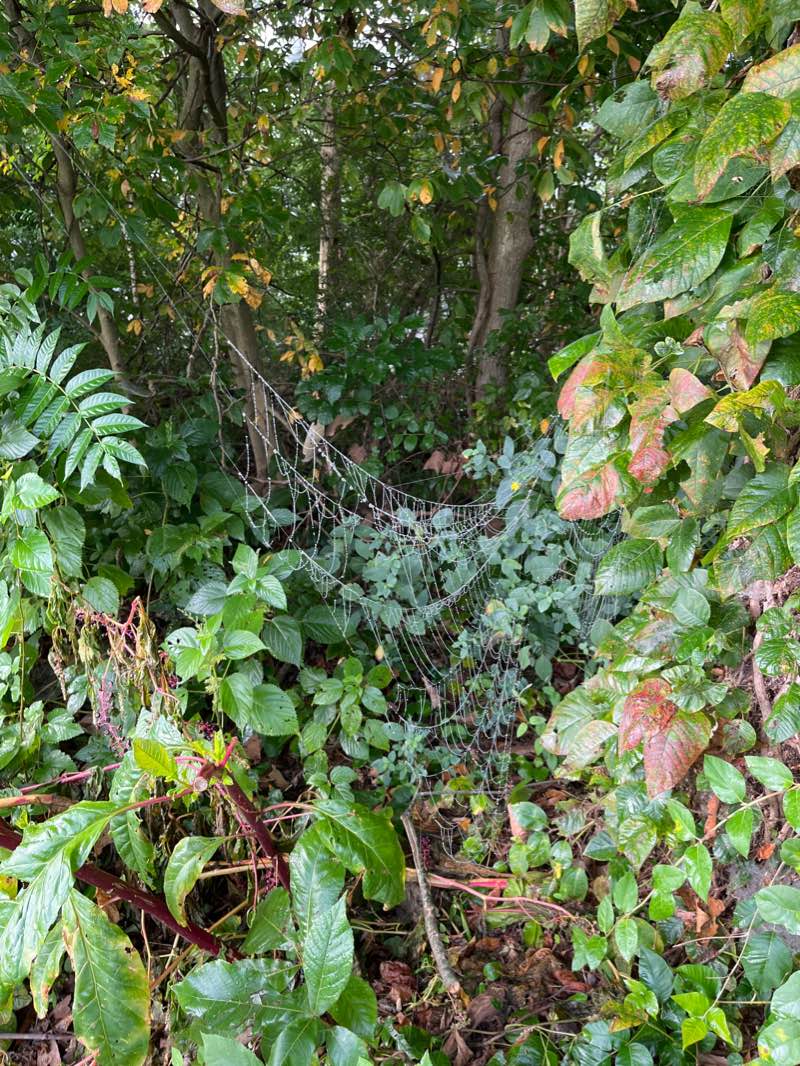 walking near me in Lake Park in winter