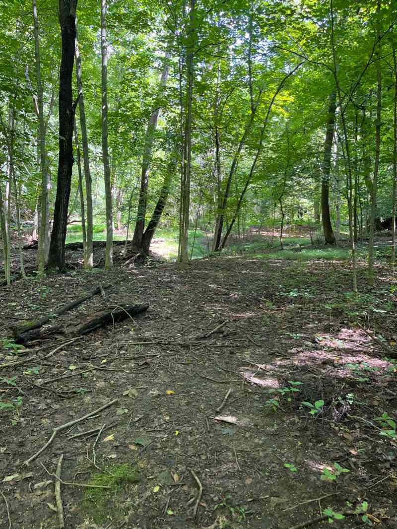 walking near me in Deer Run Park in winter