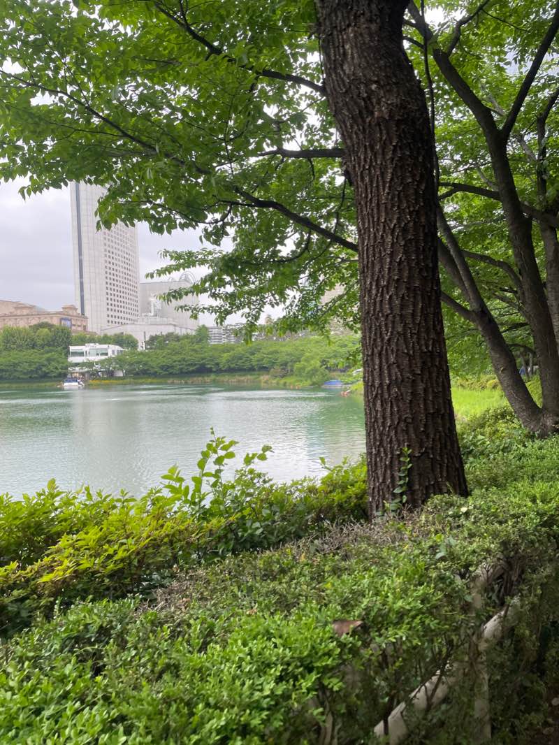walking near me in Seokchon-dong Ancient Tombs in winter