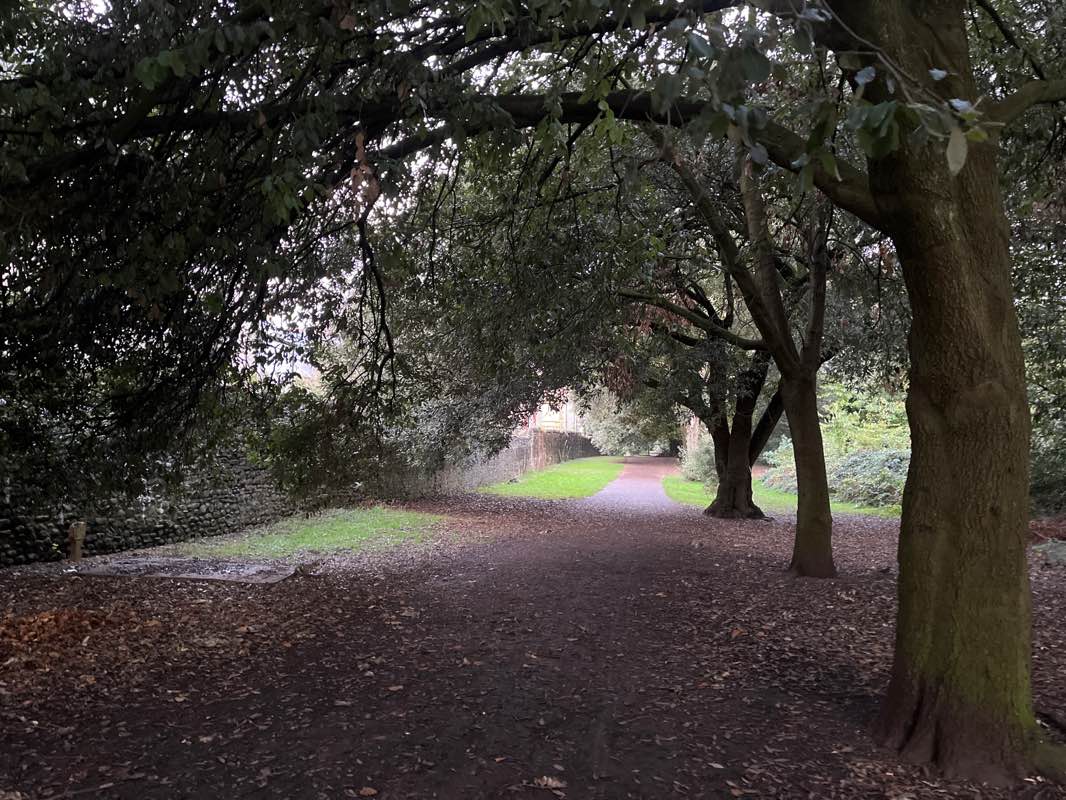 walking near me in Bute Park in winter