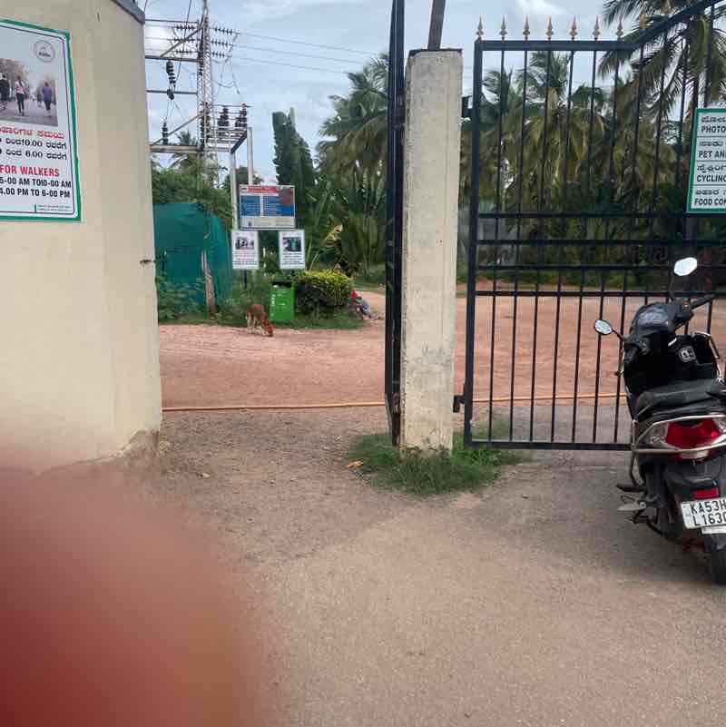 HKREDDY post 1