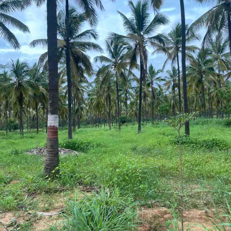 HKREDDY post 1