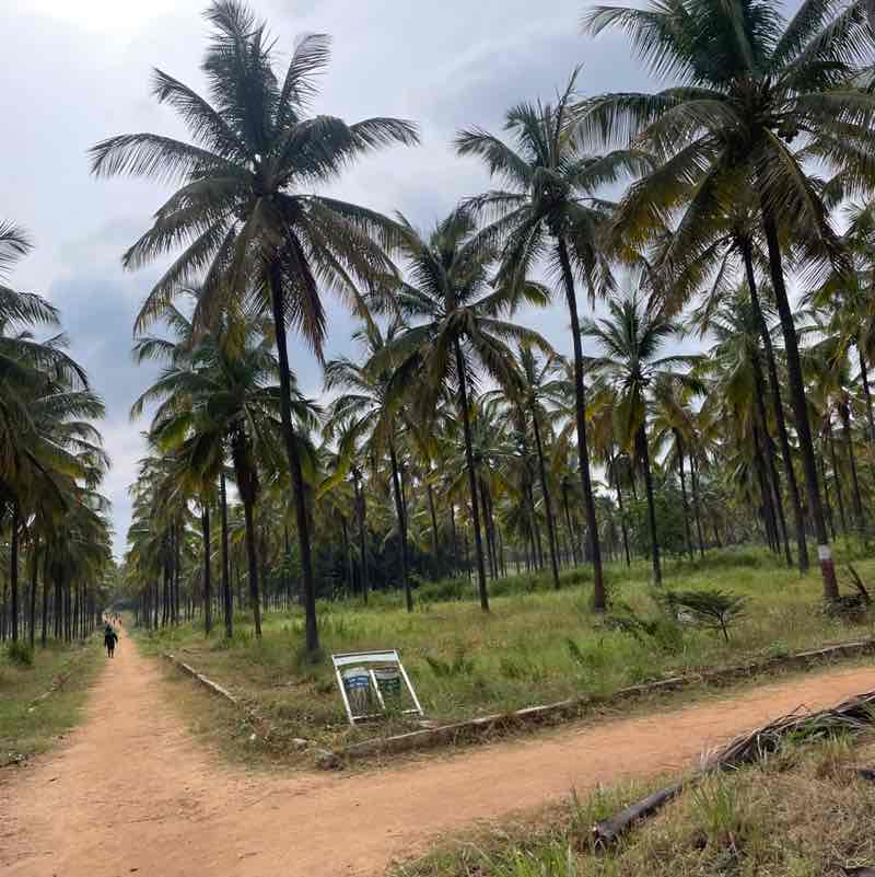 HKREDDY post 1