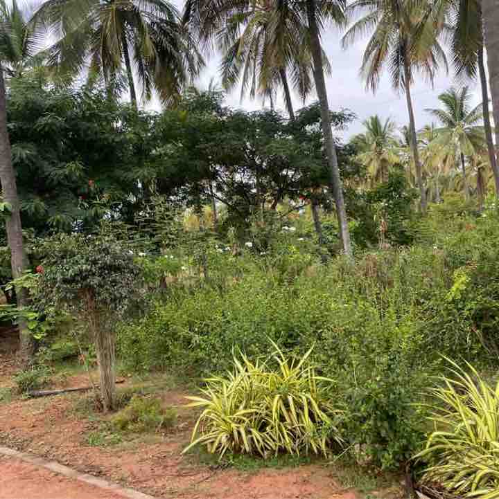 HKREDDY post 1