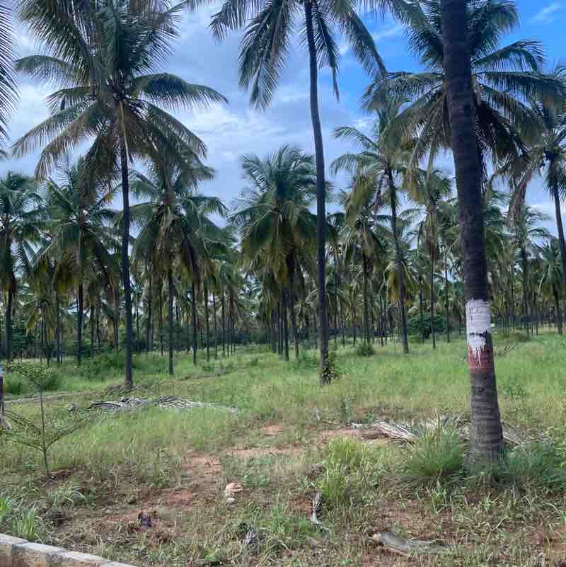 HKREDDY post 1