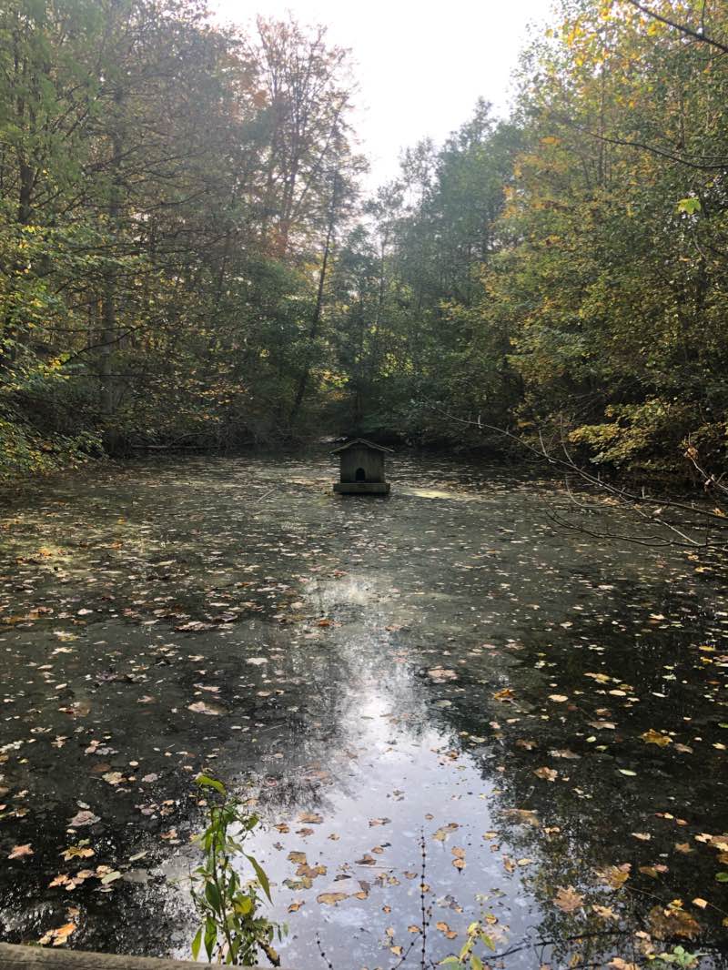 walking near me in Volksgarten Lütgendortmund in winter
