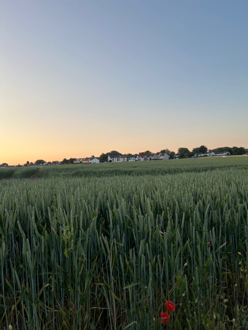 walking near me in Park Werne in winter
