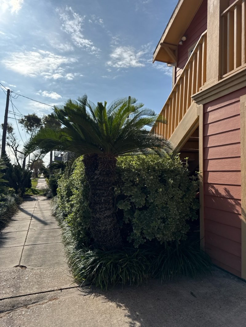walking near me in Menard Park in autumn