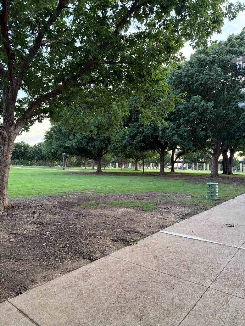 walking near me in Addison Circle Park in summer