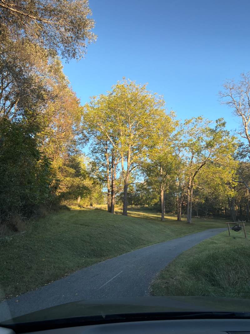 walking near me in Morgan Run Natural Environment Area in autumn