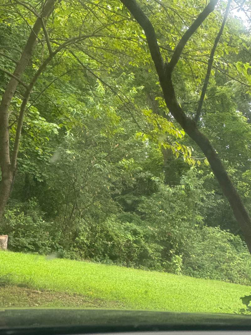 walking near me in Avondale Wildlife Management Area in autumn