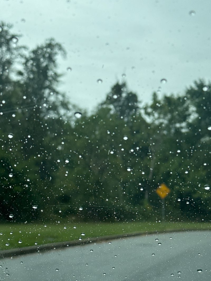 walking near me in Silver Creek Park in autumn