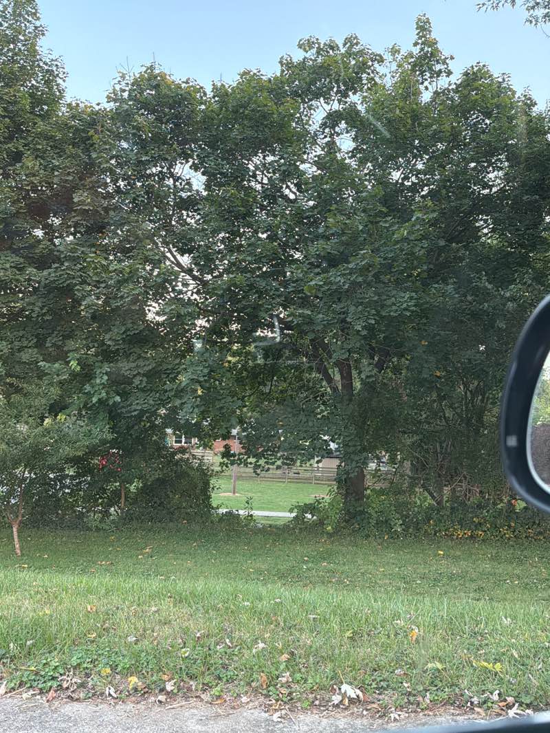 walking near me in Lions Park in autumn