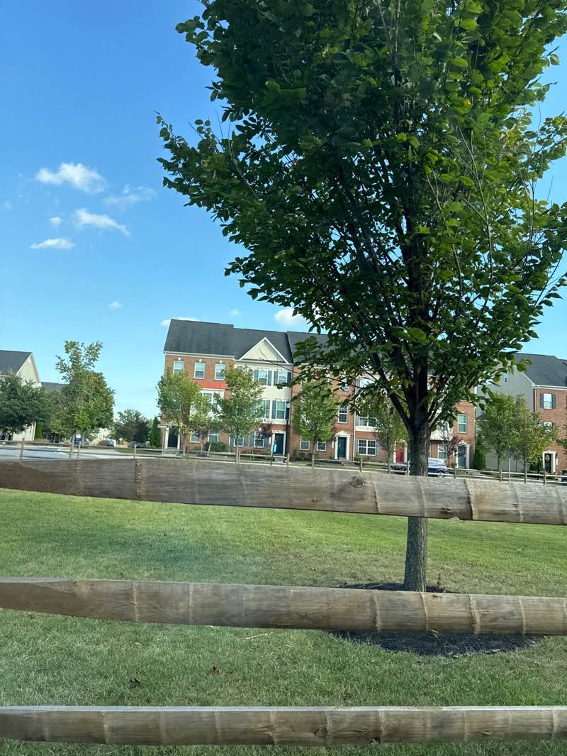 walking near me in Exeter Park in autumn