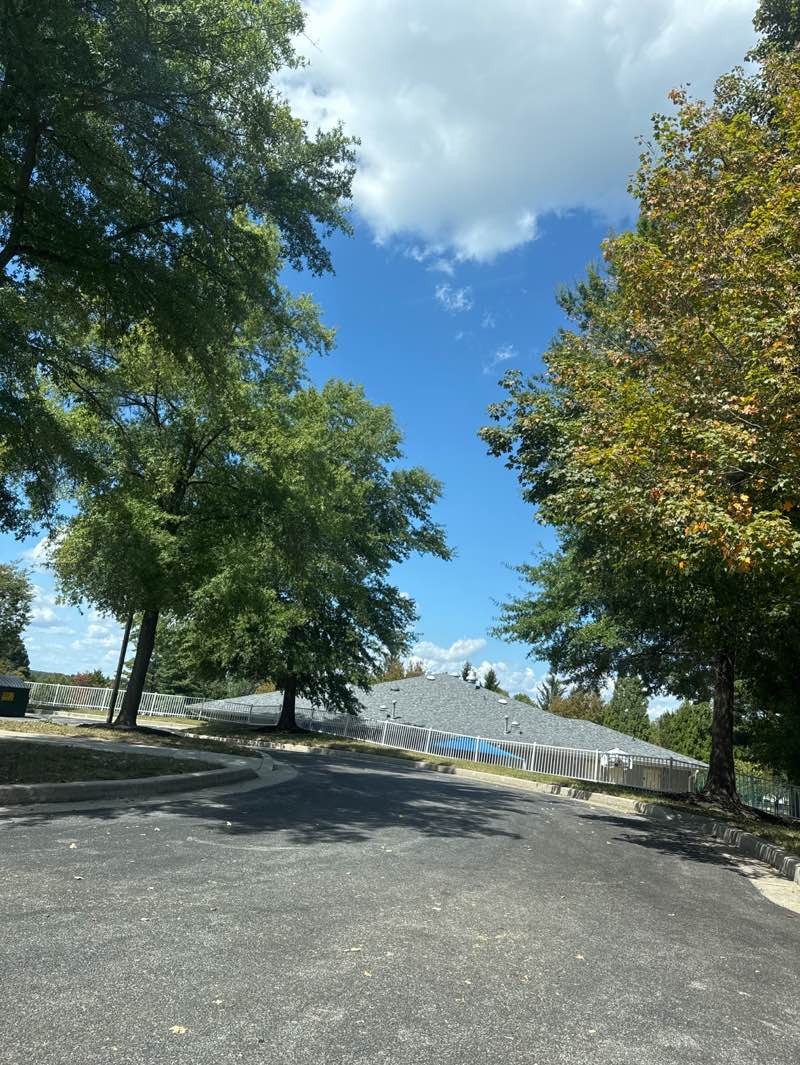 walking near me in Central Park in autumn