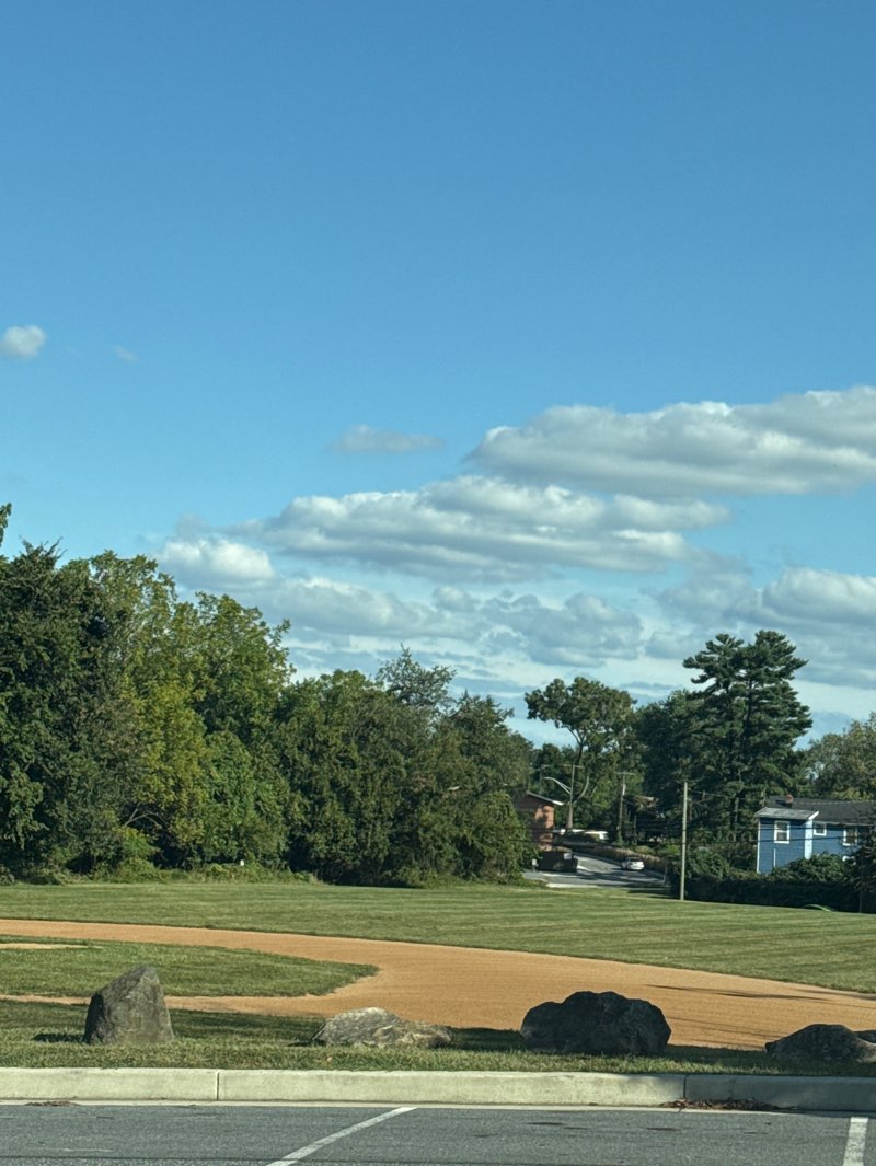 walking near me in Woodlawn Memorial Park in autumn