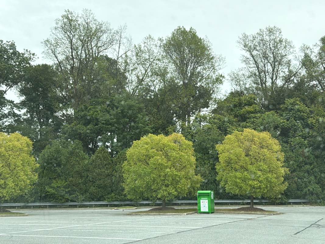 walking near me in Brother Joseph Memorial Park in autumn