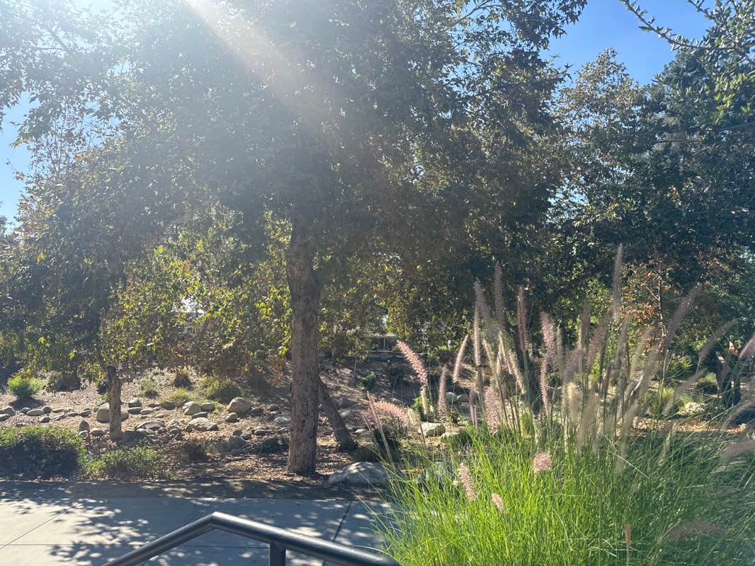 walking near me in Walnut Creek Nature Park in autumn