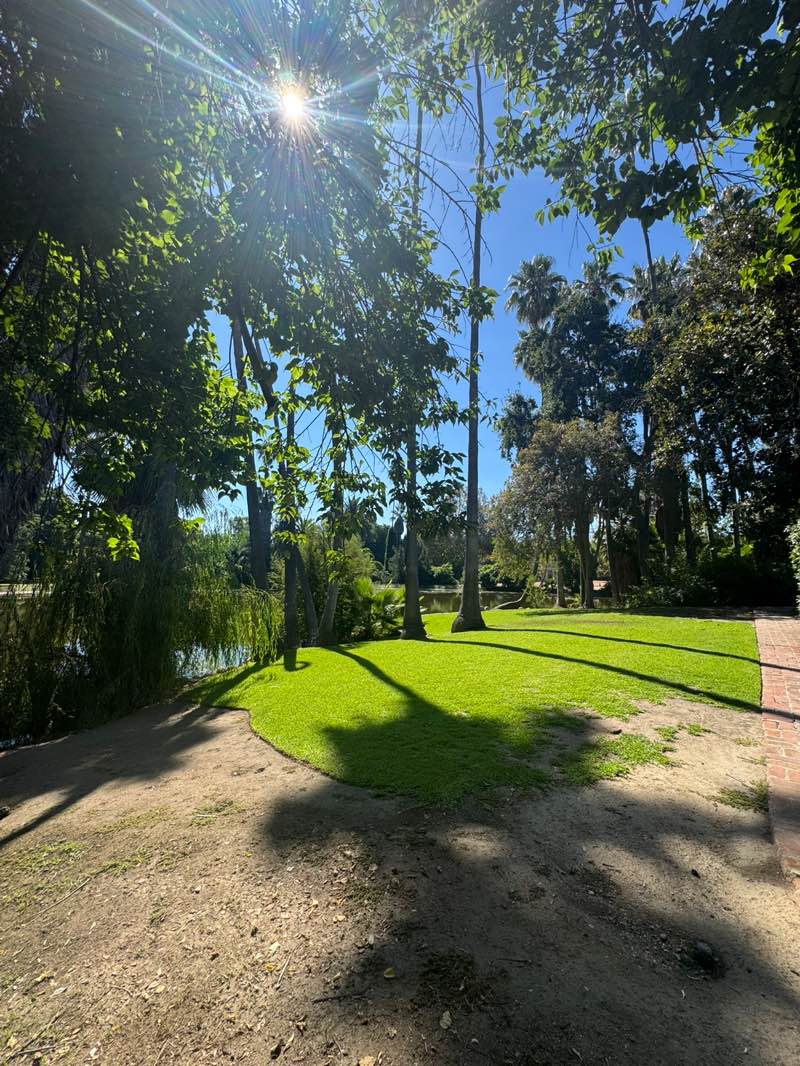 walking near me in Los Angeles County Arboretum in autumn