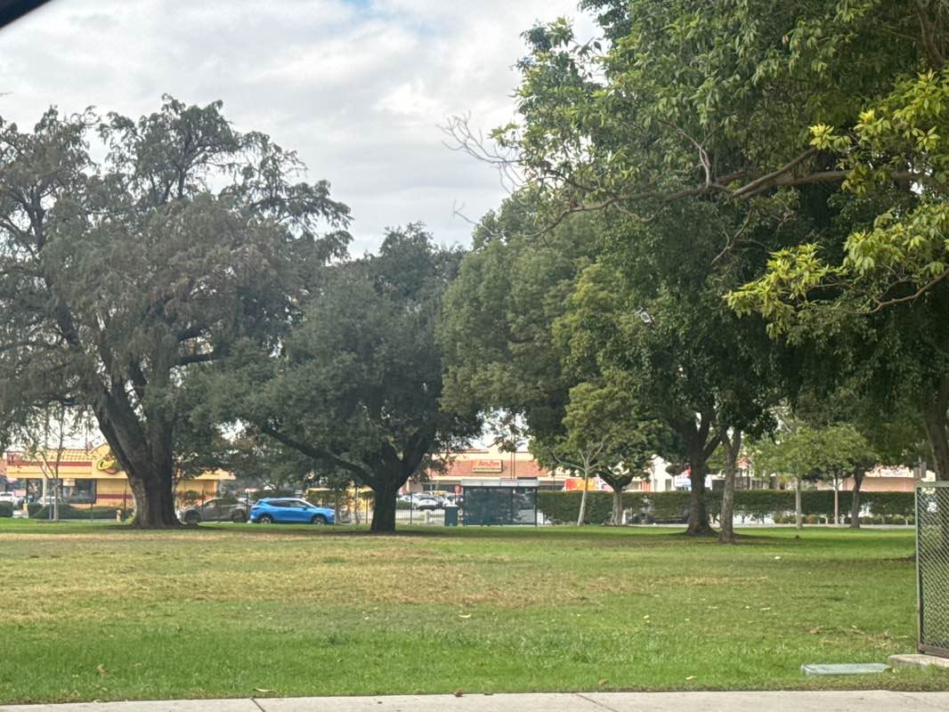 walking near me in Morgan Park in autumn