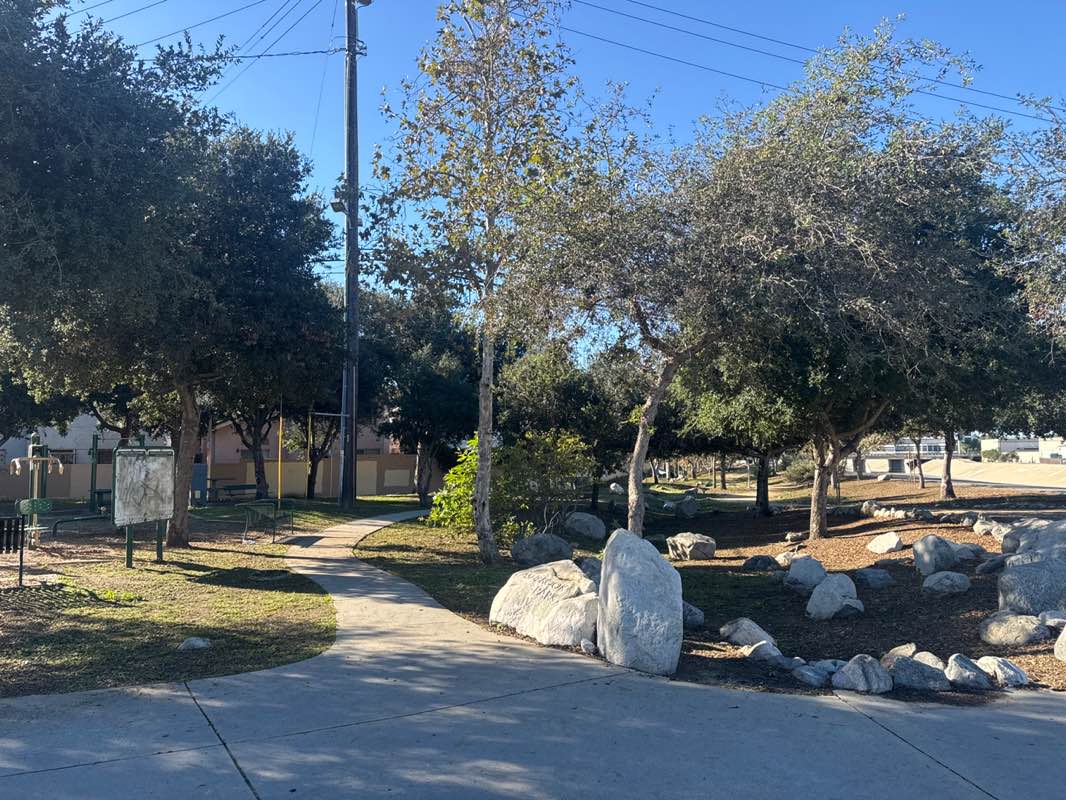 walking near me in Lashbrook Park in winter