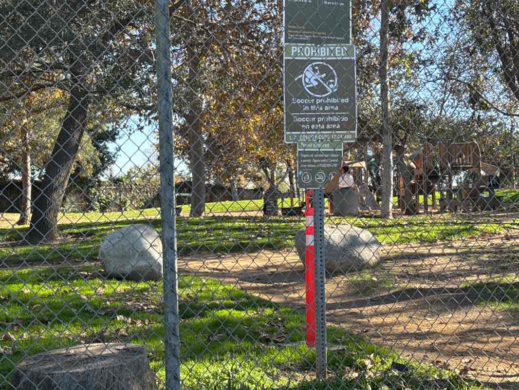 walking near me in Walnut Nature Park in winter