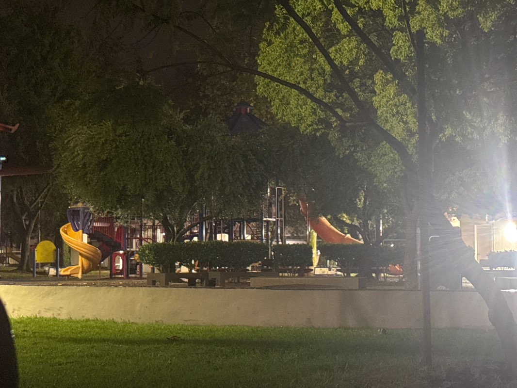 walking near me in Morgan Park in winter