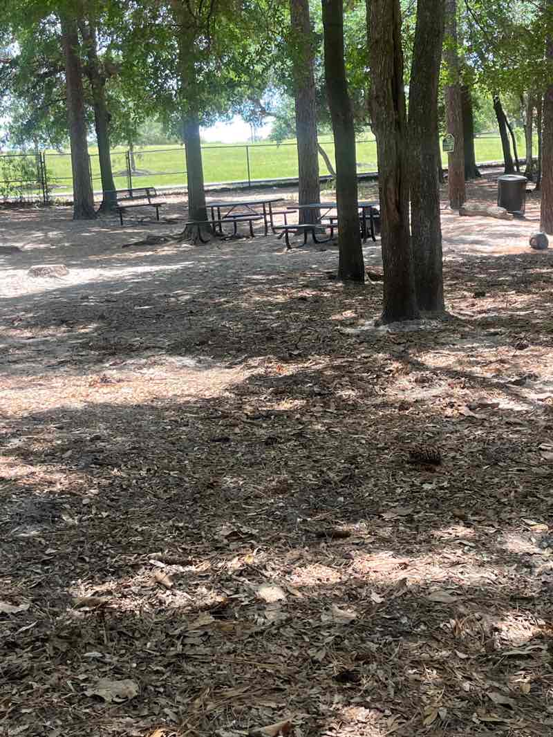 walking near me in Ed Austin Regional Park in summer