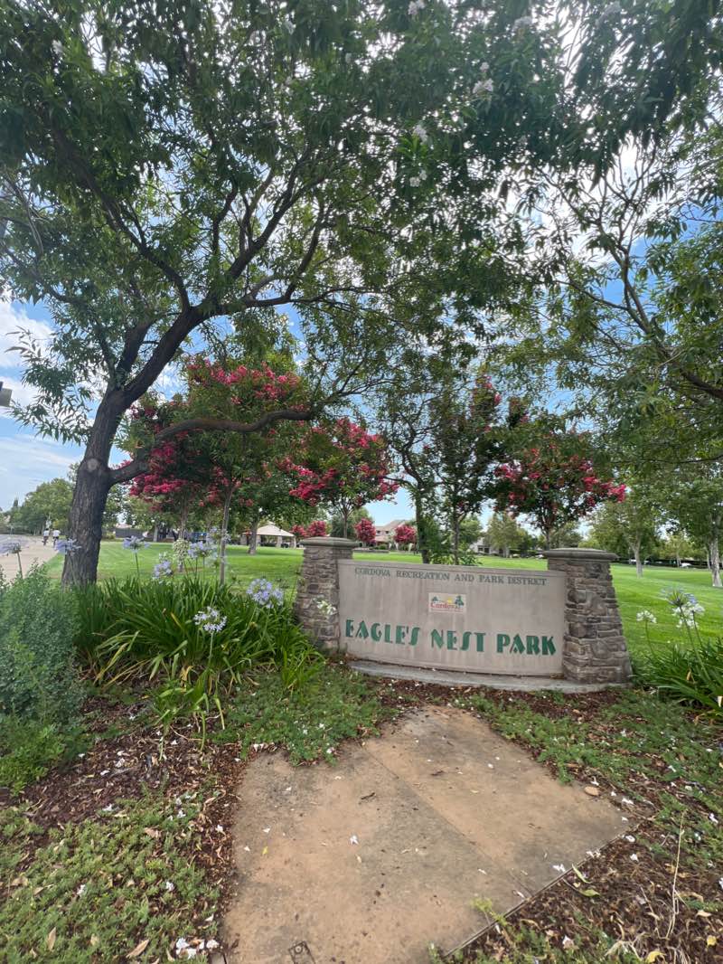 walking near me in Heron Landing Park in winter