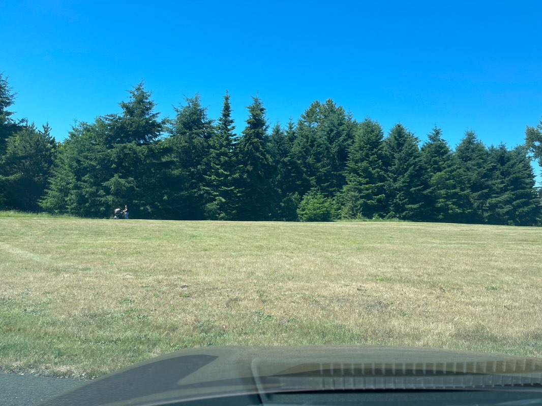 walking near me in Woodland Creek Community Park in summer