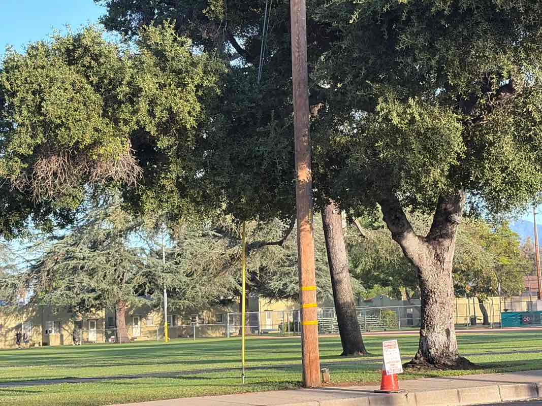 walking near me in Covina Park in spring