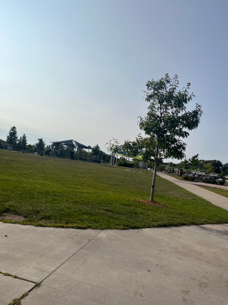 walking near me in Becker Park in winter