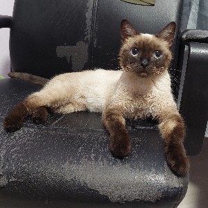 Катерина profile