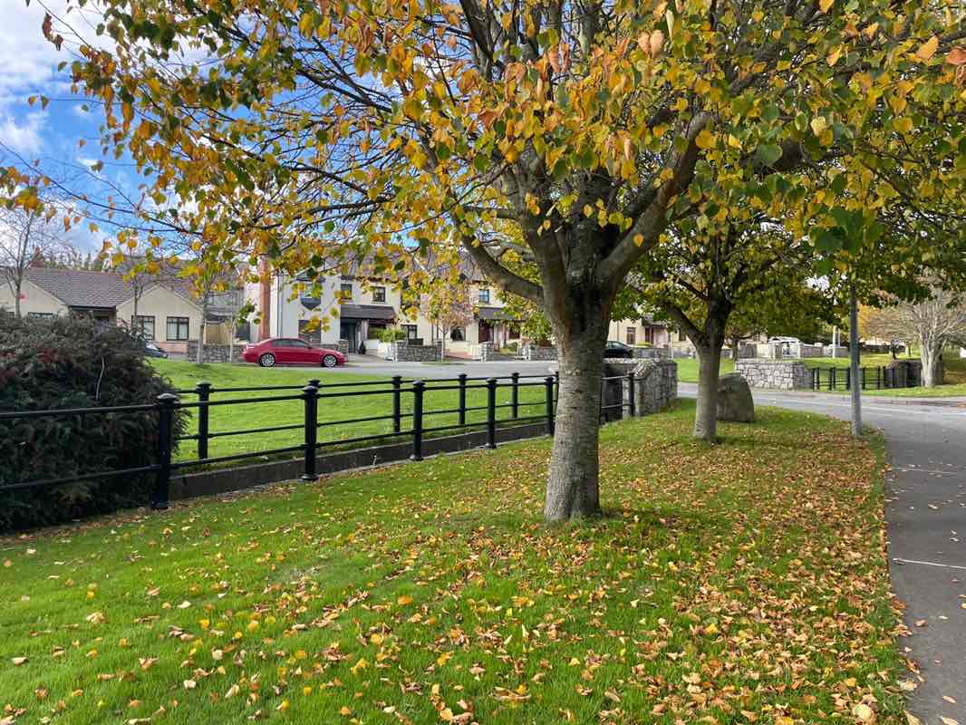 walking near me in Blackrock Park in autumn