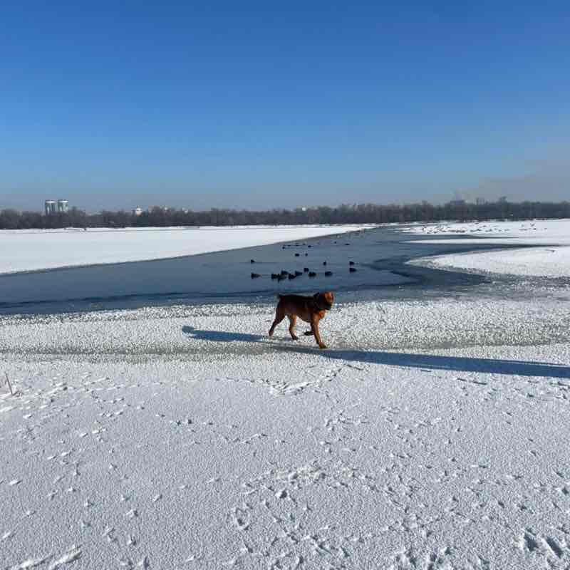 Kateryna 🇺🇦 post 3