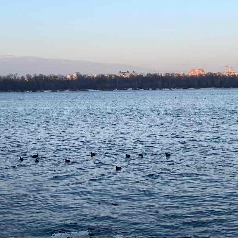 Kateryna 🇺🇦 post 1