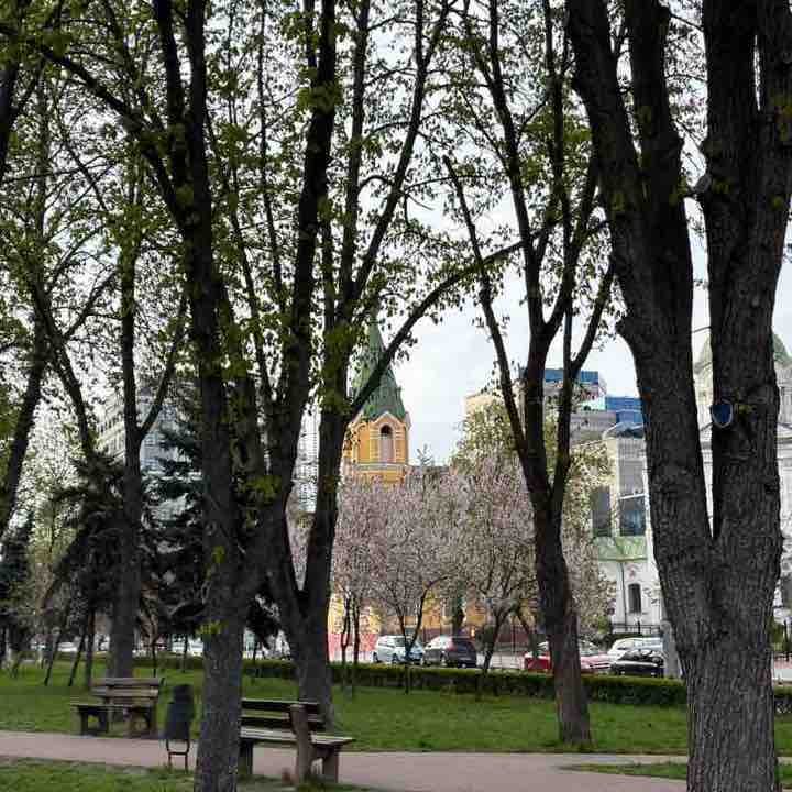 Kateryna 🇺🇦 post 2