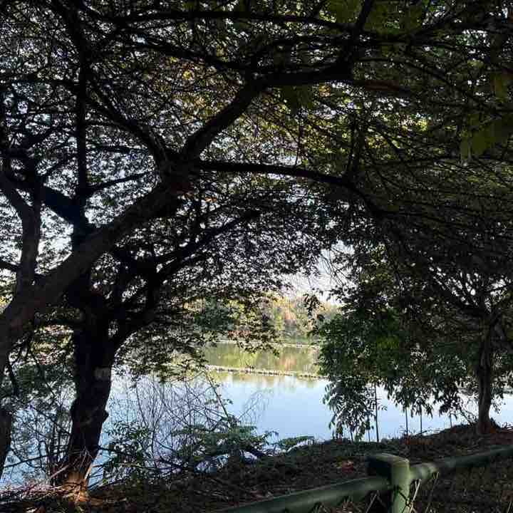 Niranjan post 3