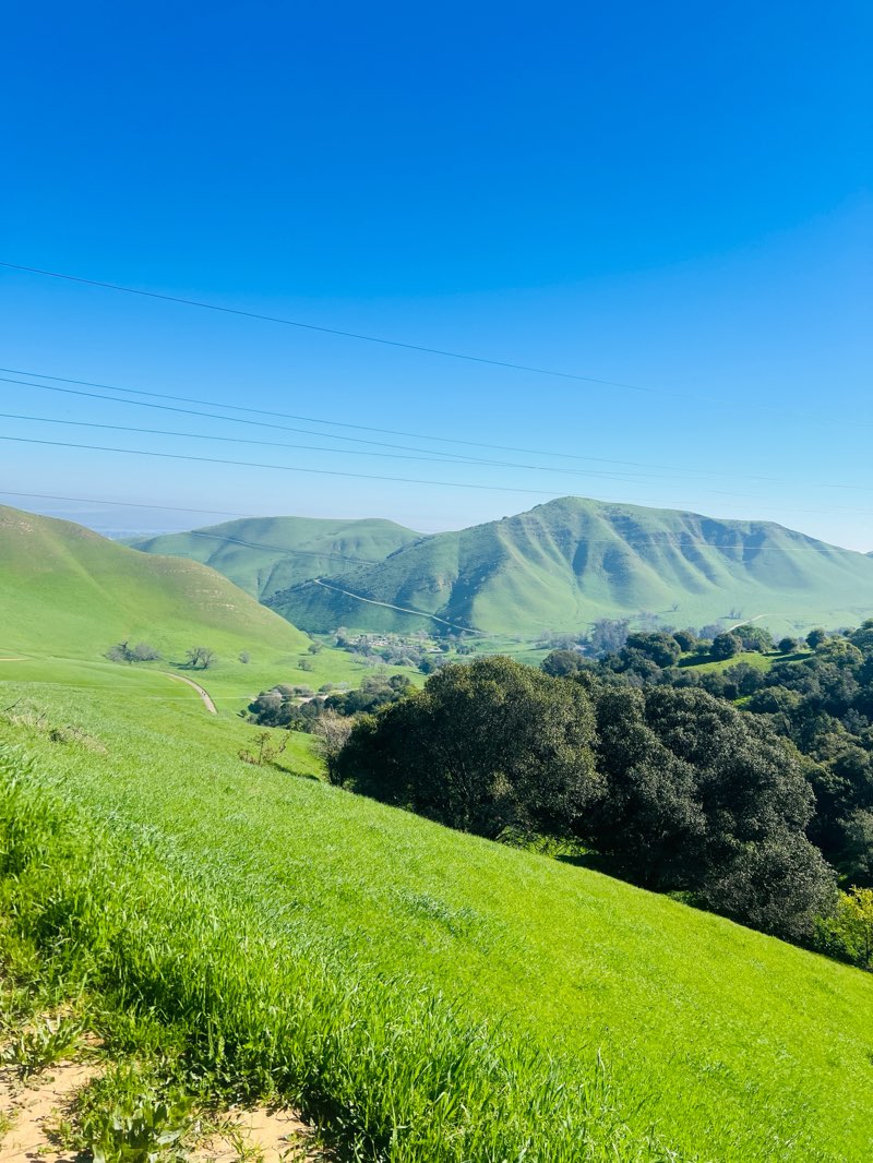 walking near me in Hap McGee Ranch Park in spring