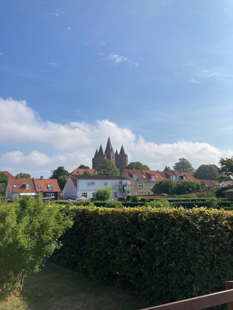 walking near me in Klosterparken in winter